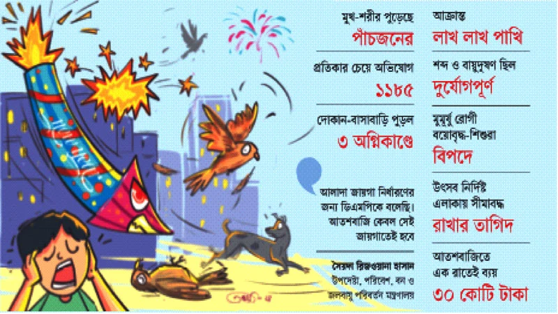 নির্বিচার আতশবাজি ফানুস, বিপন্ন প্রাণ-প্রকৃতি