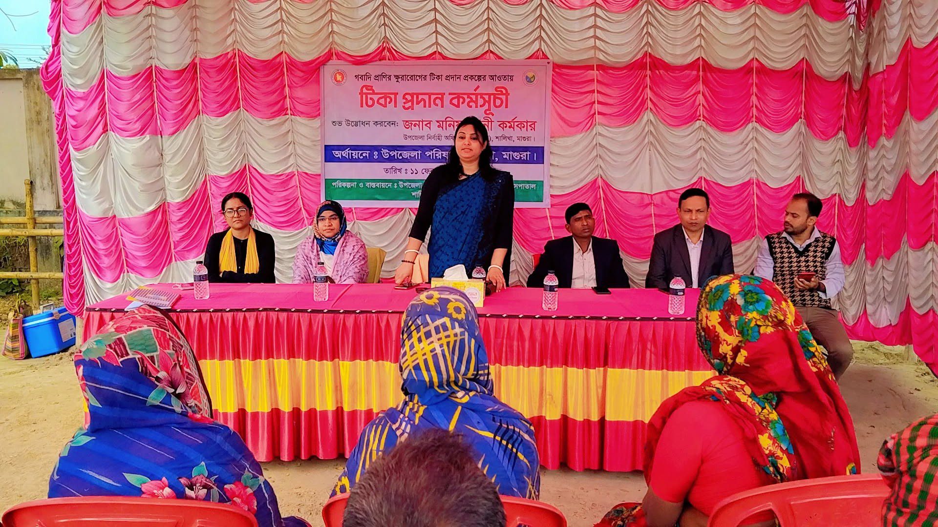 শালিখায় বিনামূল্যে গবাদিপশুর ক্ষুরা রোগের টিকাদান কর্মসূচির উদ্বোধন