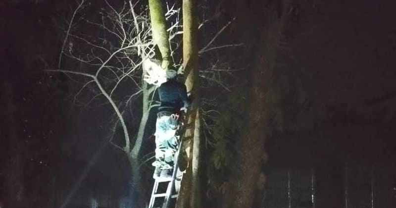 কড়া প্রতিবাদ : মসজিদের সামনের সিসিটিভি সরালো ভারত