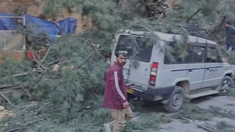 ঝড়ের তোড়ে গাছ উপড়ে হিমাচলে ৬ জনের প্রাণহানি
