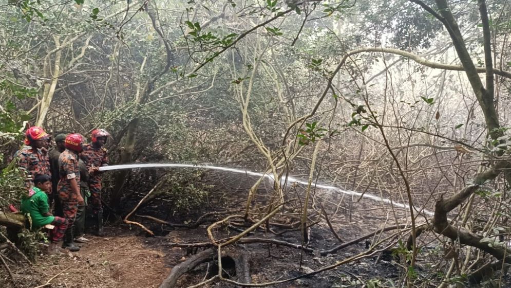 ৪ দিন পর নিভল সুন্দরবনের আগুন
