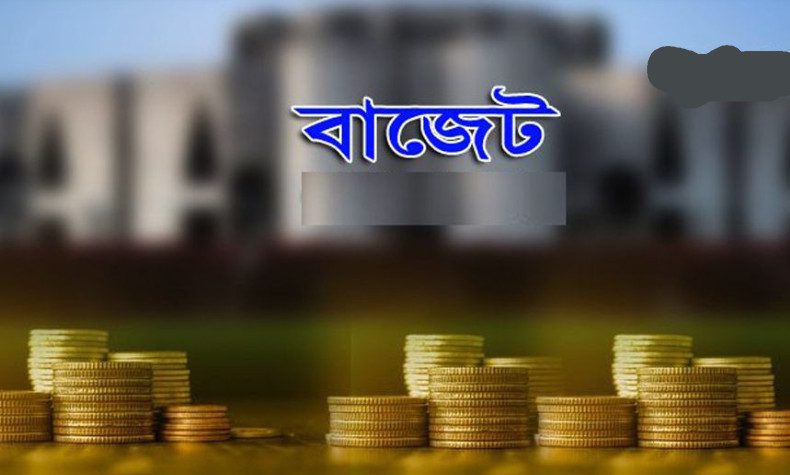 কমছে বাজেটের আকার