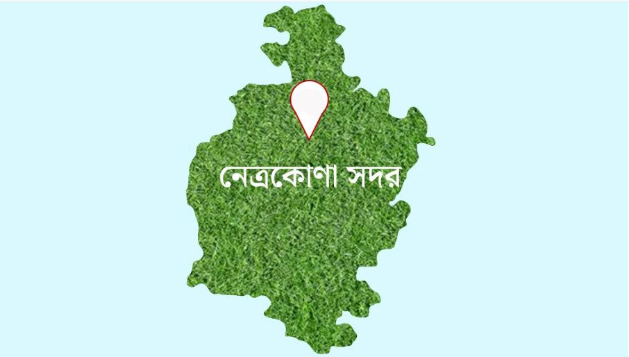 নববর্ষে ইউএনওকে লাঞ্ছিতের ঘটনায় যুবদল নেতা গ্রেফতার
