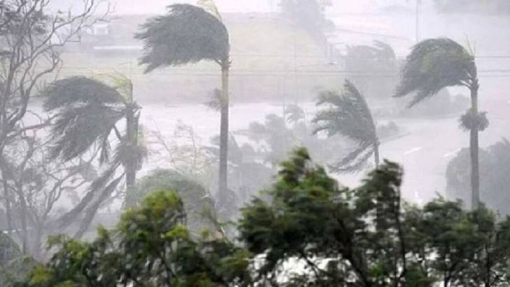 দুপুর ১টার মধ্যে যেসব জেলায় ঝড়বৃষ্টি হতে পারে