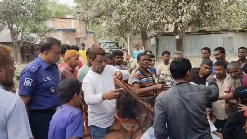 নওগাঁয় গাছ কাটাকে কেন্দ্র করে দুই পক্ষের সংঘর্ষে নিহত ২