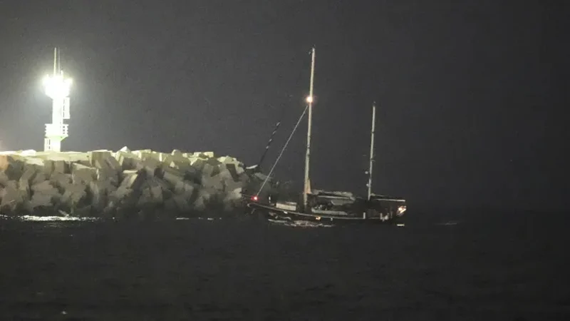 ত্রাণসহ গ্রেটা থুনবার্গদের নেওয়া হল ইসরায়েলে, রাখা হবে কারাগারে