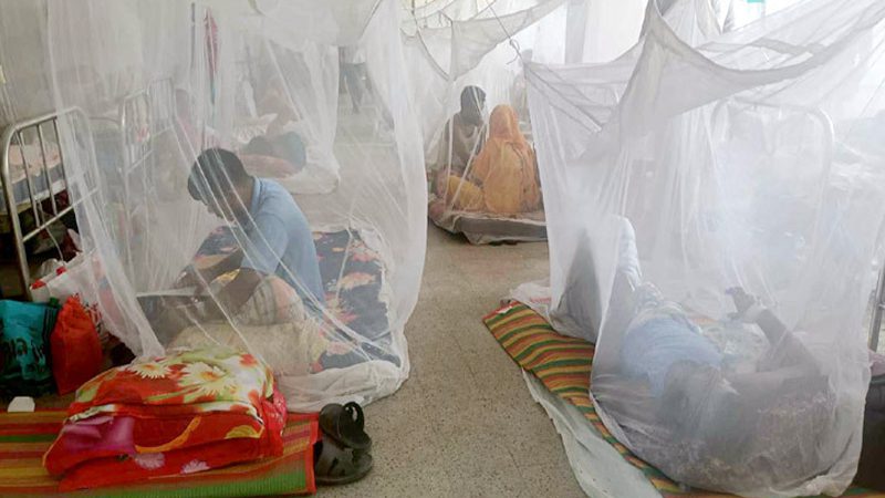 ডেঙ্গুতে আরও ৩ জনের মৃত্যু, হাসপাতালে ৩৩১