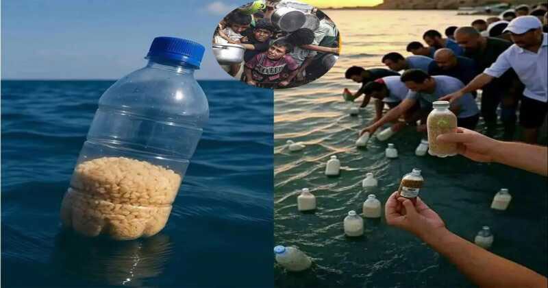 গাজার উপকূলে ভেসে আসা খাদ্য বোতল ! রহস্য কী?