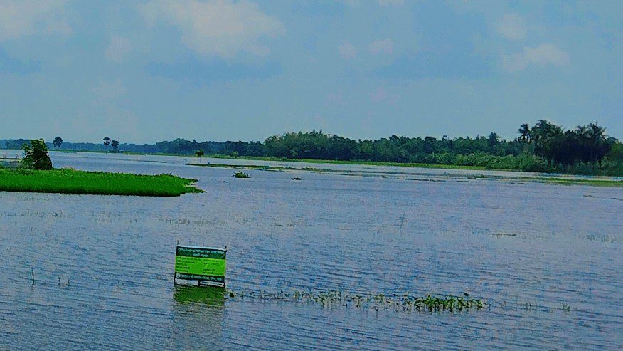 শালিখায় বৃষ্টিতে তলিয়ে গেছে ফসলি জমি,বন্যার আশঙ্কা