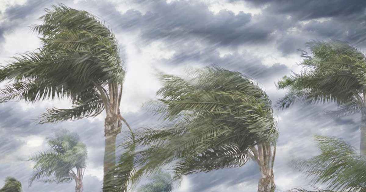ঢাকায় তীব্র বজ্রসহ ভারী বৃষ্টির পূর্বাভাস, জলাবদ্ধতার শঙ্কা