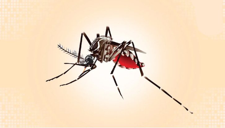 ডেঙ্গুতে মৃত্যু ২৫০ ছাড়াল