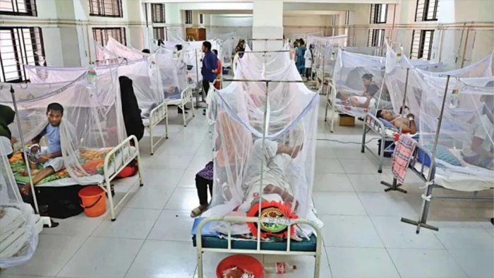 ডেঙ্গুতে আরও ৩ জনের মৃত্যু, ৫০ হাজার ছাড়াল রোগী