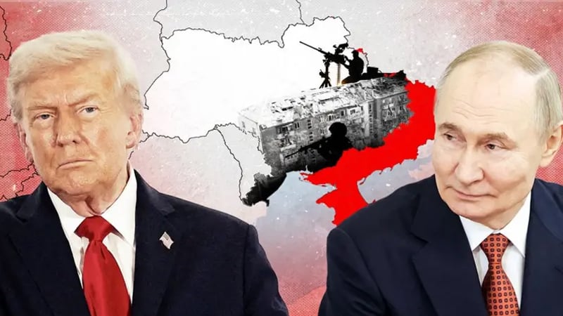 ট্রাম্পের চেষ্টায়ও থামছে না ইউক্রেন যুদ্ধ, পুতিন আসলে কী চান