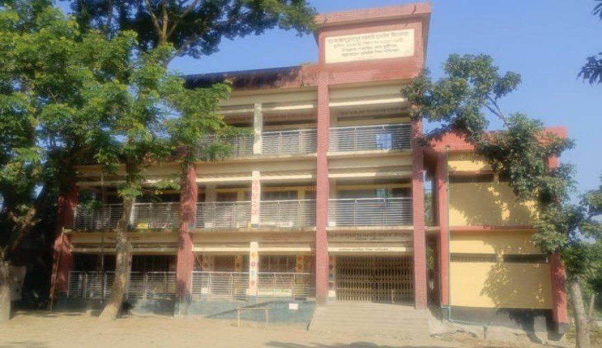 শিক্ষক ও শিক্ষার্থী সংকট মুন্সীগঞ্জের গজারিয়ায় প্রাথমিক শিক্ষার বেহাল দশা