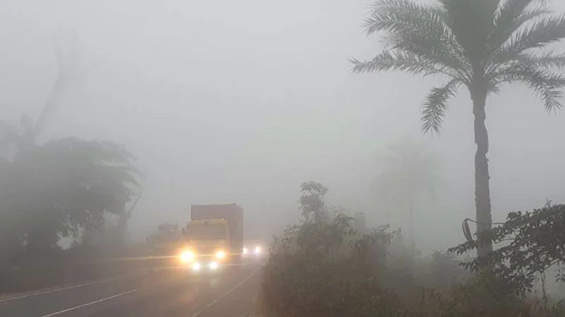 কুয়াশার দাপটে বাড়ছে শীতের অনুভূতি