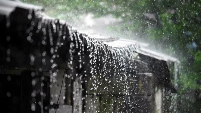 আজ থেকে বাড়তে পারে বৃষ্টি ও বজ্রপাত, মাসের শেষে তাপপ্রবাহের আশঙ্কা
