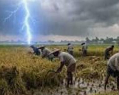 নওগাঁয় বজ্রপাতে তিন কৃষকের প্রাণহানি